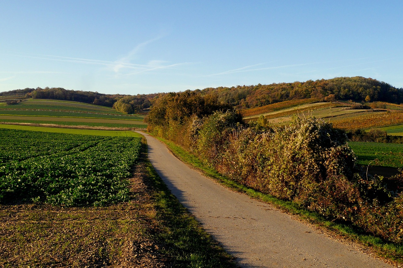 Knoll-Reisen: Sonderfahrten/ Mehrtagesfahrten